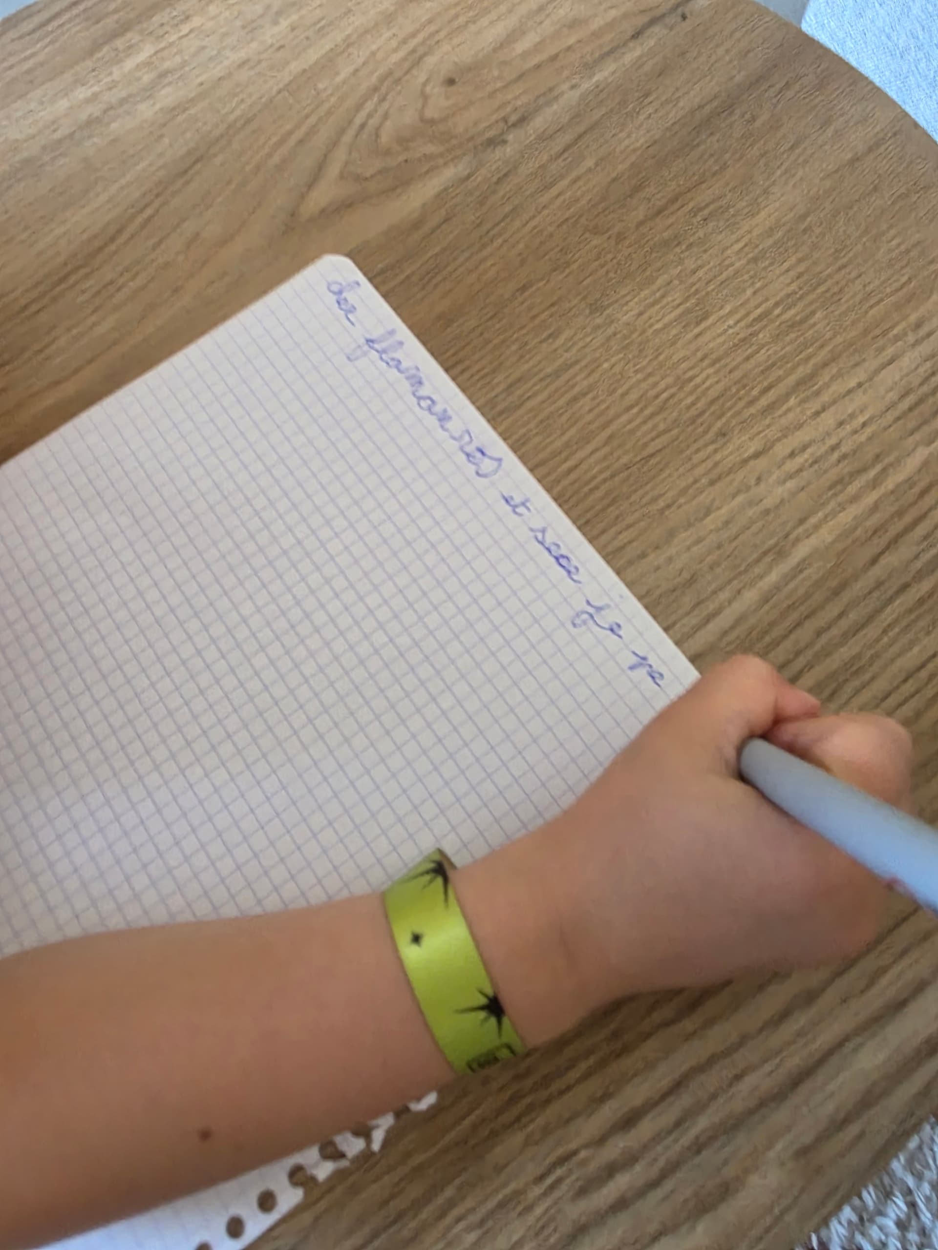 The flamingo's letter written in Romane's notebook